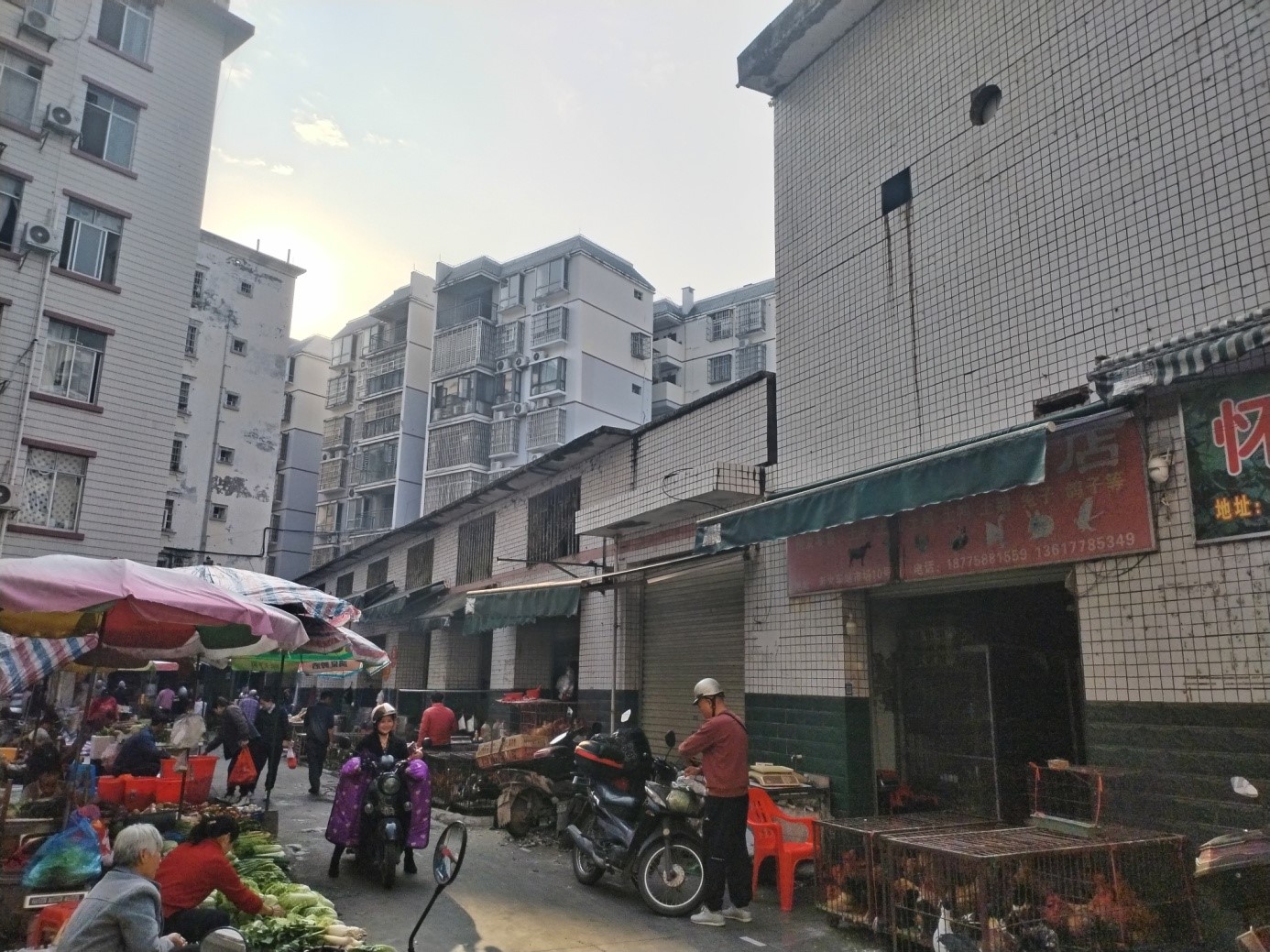 Z6尊龙凯时河池分公司招租公告