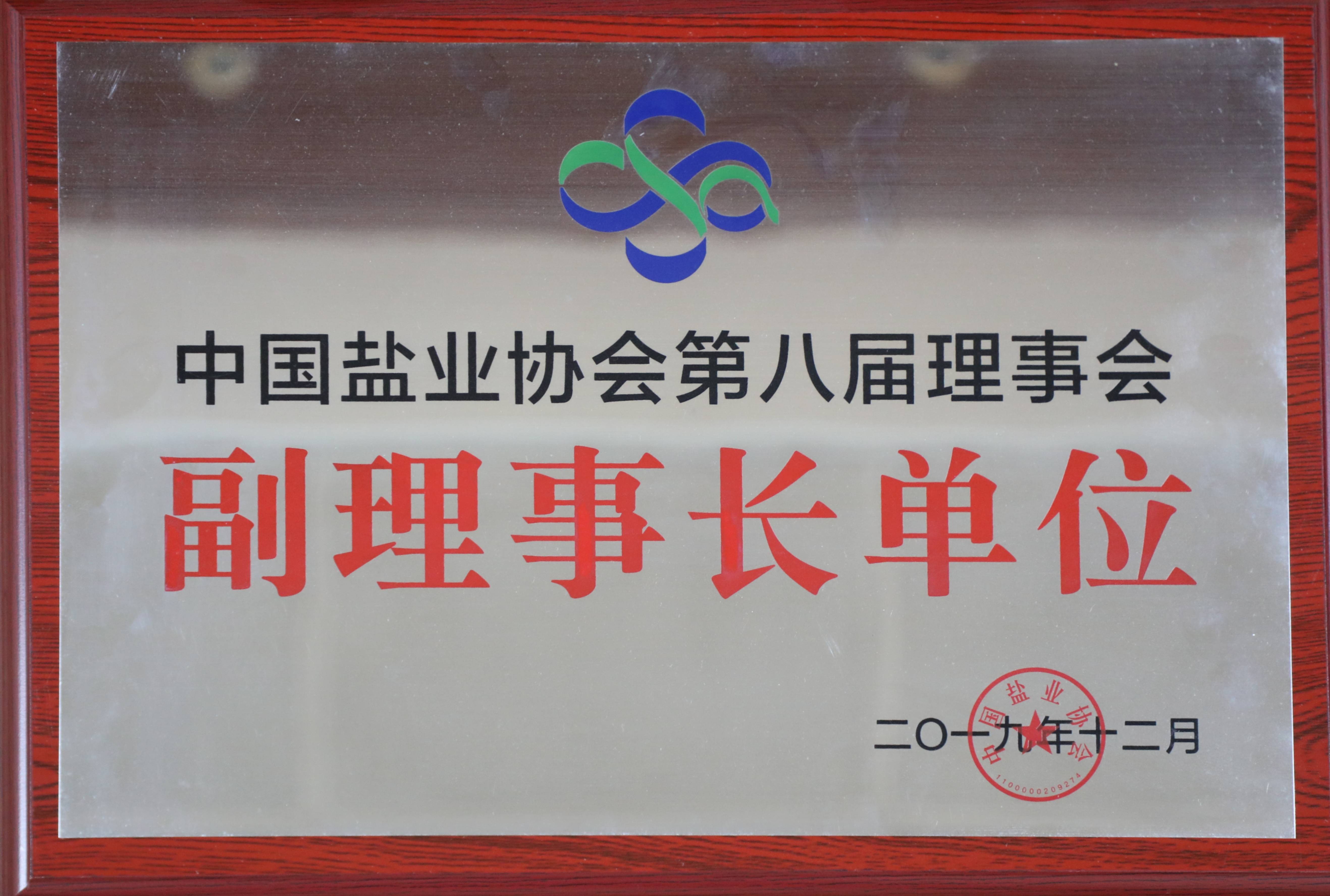 中国Z6尊龙凯时协会第八届理事会副理事长单位